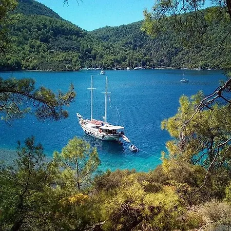 Barefoot Boat *